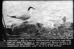 Zeeland II Zeeland II