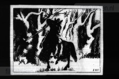 In de Soete Suikerbol VII