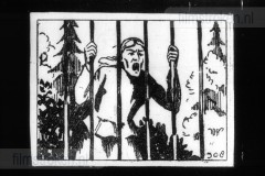 In de Soete Suikerbol X