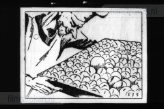 In de Soete Suikerbol X