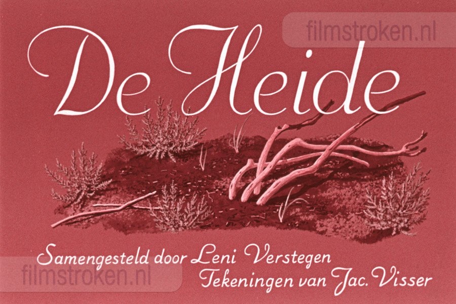 De Heide De Heide