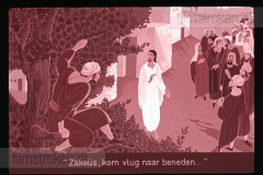 De Bijbel in Beeld 19