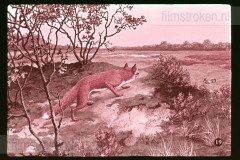 De Heide De Heide