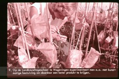 Gelderland Gelderland