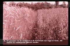 Gelderland Gelderland