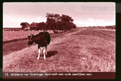Groningen Groningen