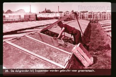 Groningen Groningen