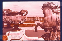 Wenen (Wien) Wenen (Wien)