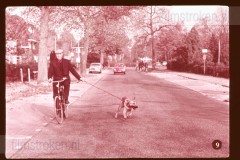 Fouten in het Verkeer