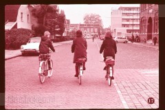 Fouten in het Verkeer