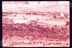 Vincent van Gogh Vincent van Gogh