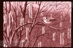 Lente Lente