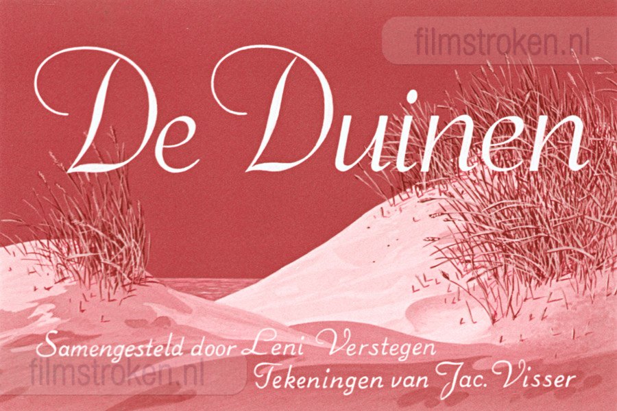 De Duinen De Duinen
