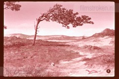 De Duinen De Duinen