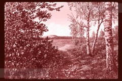 De Duinen De Duinen
