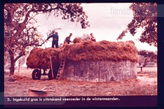 Laag-Nederland II Laag-Nederland II
