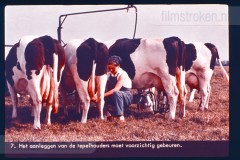 Laag-Nederland II Laag-Nederland II