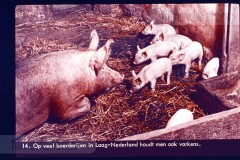 Laag-Nederland II Laag-Nederland II