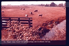 Laag-Nederland II Laag-Nederland II
