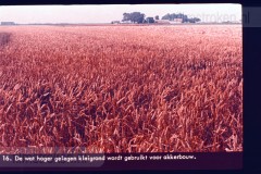 Laag-Nederland II Laag-Nederland II