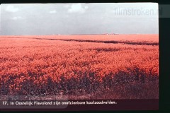 Laag-Nederland II Laag-Nederland II