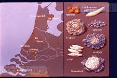 Laag-Nederland II Laag-Nederland II