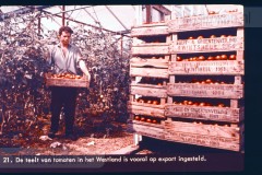 Laag-Nederland II Laag-Nederland II