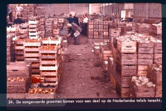 Laag-Nederland II Laag-Nederland II
