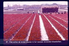 Laag-Nederland II Laag-Nederland II