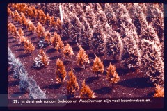 Laag-Nederland II Laag-Nederland II