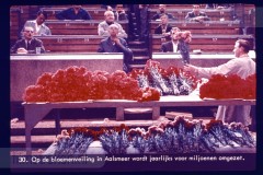 Laag-Nederland II Laag-Nederland II
