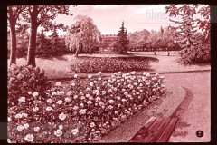 Het Park Het Park
