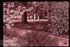 Het Park Het Park