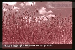 Drente