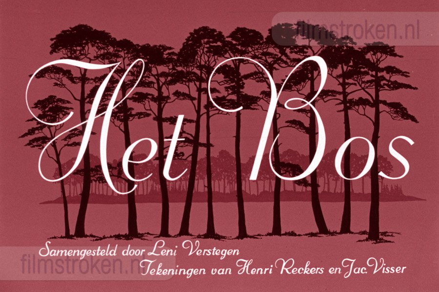 Het Bos Het Bos