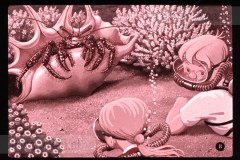 Pluk en Plok onder Water