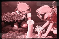 Pluk en Plok onder Water Pluk en Plok onder Water