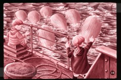 Pluk en Plok op de Walvisvangst