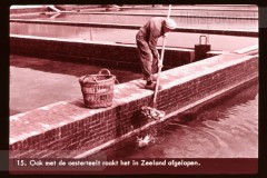 Deltawerken I Deltawerken I