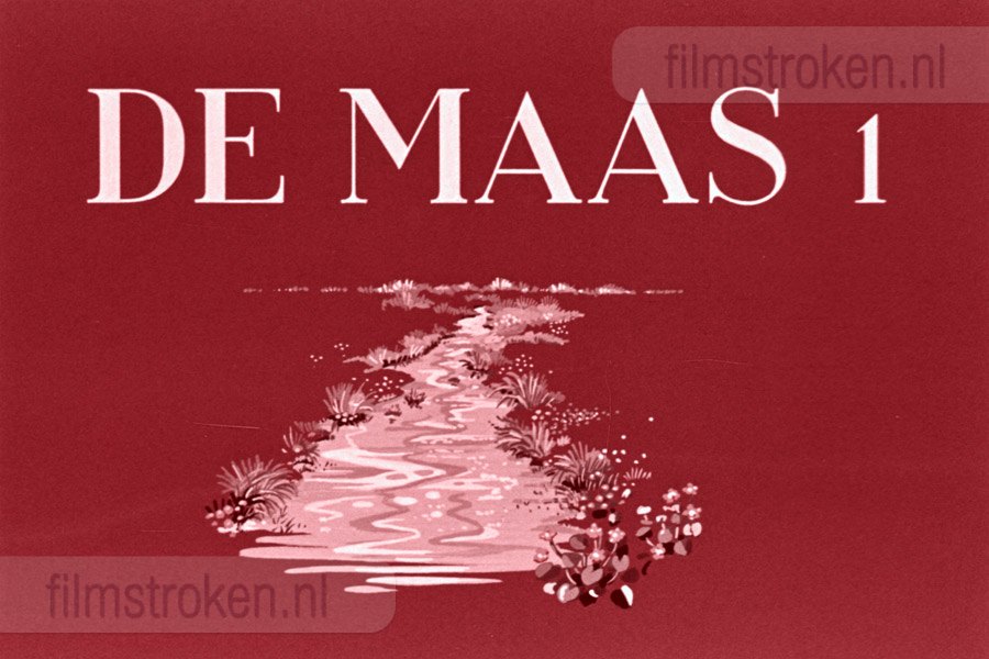 De Maas I De Maas I