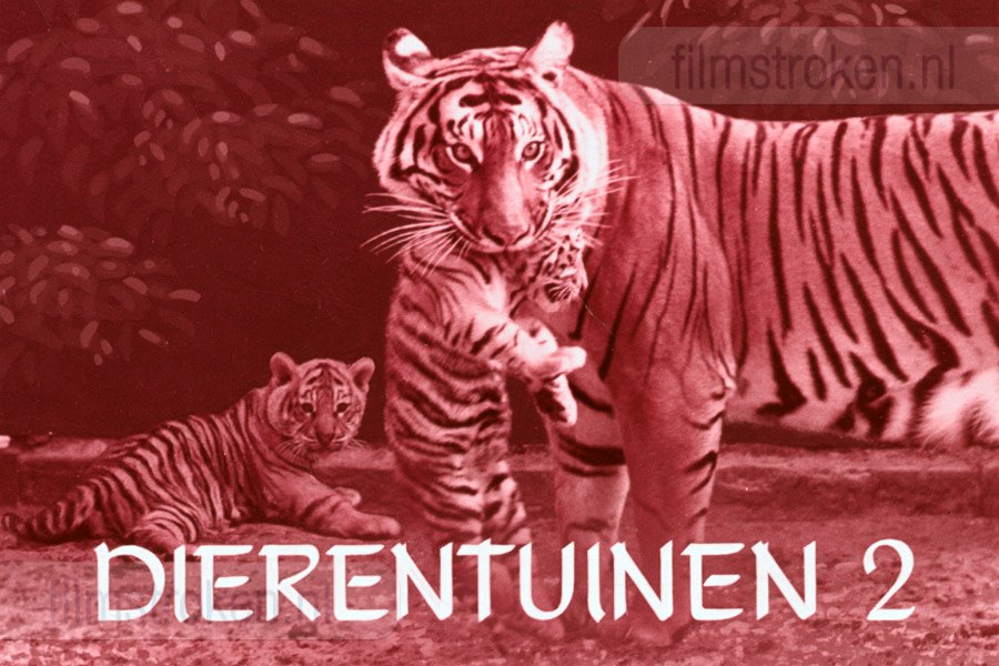 Dierentuinen II Dierentuinen II