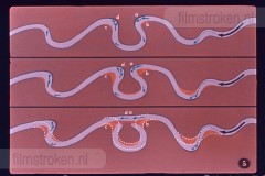 Onze Waterwegen I Onze Waterwegen I