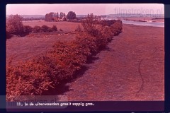 Onze Waterwegen I