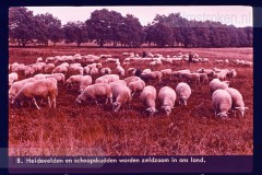 Hoog-Nederland Hoog-Nederland