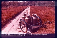 Hoog-Nederland Hoog-Nederland