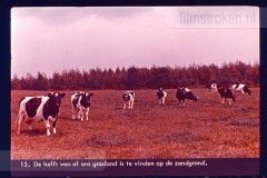 Hoog-Nederland Hoog-Nederland