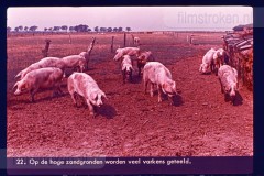 Hoog-Nederland Hoog-Nederland