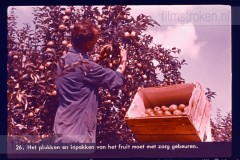 Hoog-Nederland Hoog-Nederland