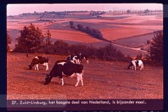 Hoog-Nederland Hoog-Nederland