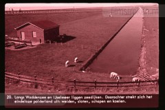 Friesland Friesland